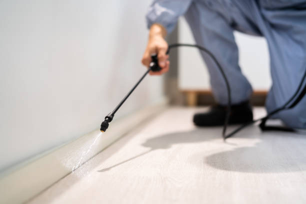 Licensed Cockroach Control service in Iuka, MS - Nex Pest Control